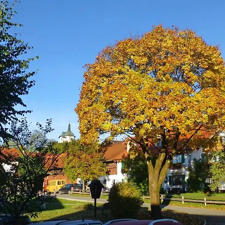 公寓 Blumenhof Am See 2 Bayersoien